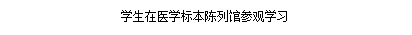 文本框:学生在医学标本陈列馆参观学习